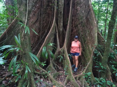 At the base of a tree in Dominica At the base of a tree in Dominica
